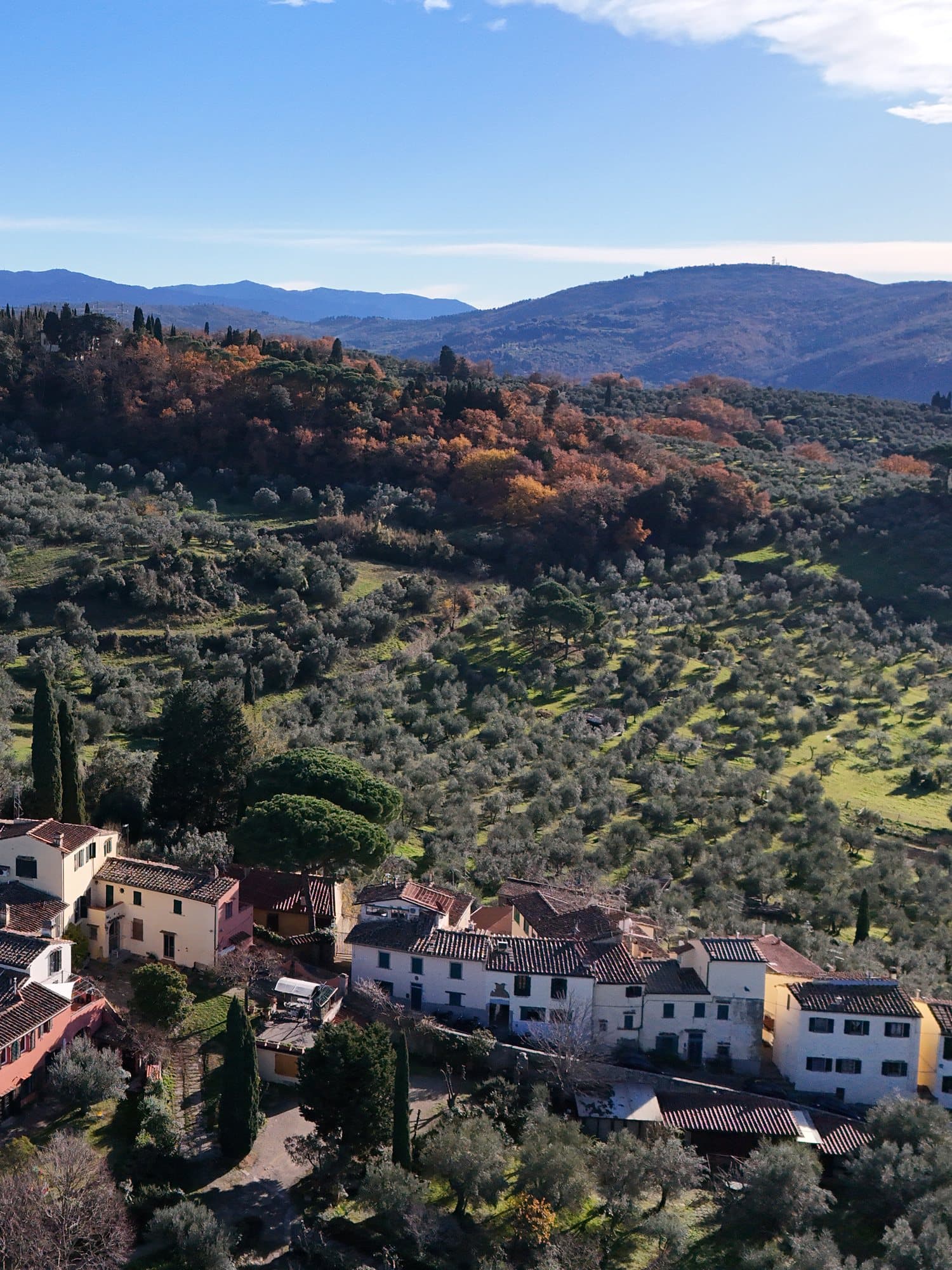 Un borgo tra gli ulivi sulle colline di Firenze